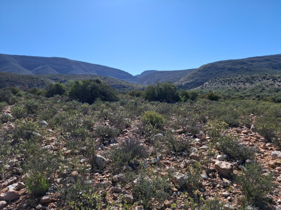  Bedroom Property for Sale in Ladismith Rural Western Cape